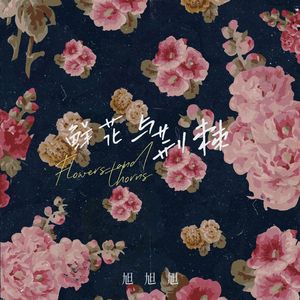 鲜花与荆棘（DJ版）