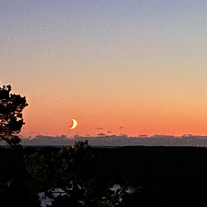 Quite Ok (Demo Version)