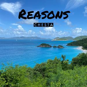 Reasons