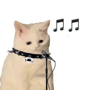 メイドノココロハ アヤツリドール