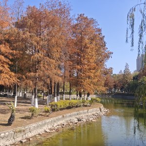 帽檐下的小幸运