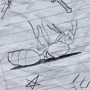Bug