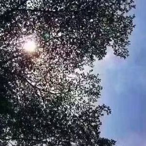 荒漠绿洲
