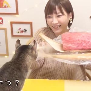 木下迷のbgmbobooremix