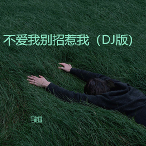不爱我别招惹我（DJ版）
