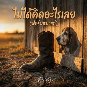 ไม่ได้คิดอะไรเลย(ฟอร์มหมาแก่)