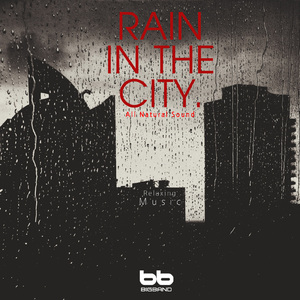 시민의 숲속의 빗소리