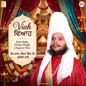 Viah ( Sant Bagichi Wale )