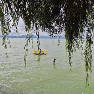 忠于自己的旋律.wav