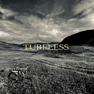 Tubeless