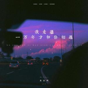 我走过一万年才和你遇见