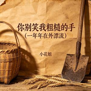 你别笑我粗糙的手(一年年在外漂流)