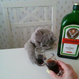 LOVE ME NOW (feat. wasty)