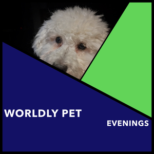 Mountain Breeze Tranquility