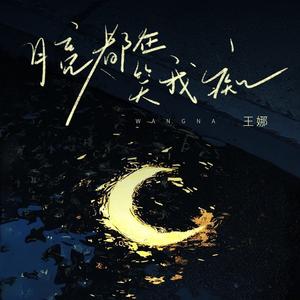 月亮都在笑我痴 (DJ九零版)