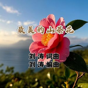 最美的的山茶花