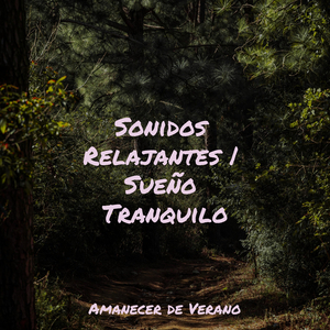 Baile Encantador de la Doncella