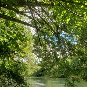 waterline (feat. GSR Nox)