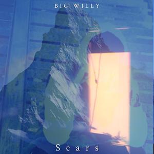 Scars