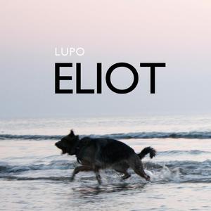 Eliot
