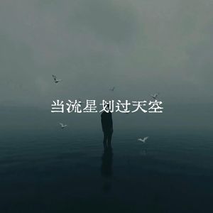 当流星划过夜空