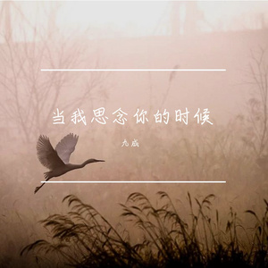 当我思念你的时候