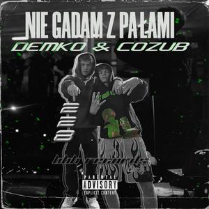 Nie Gadam Z Pałami (feat. Demko & Cozub)