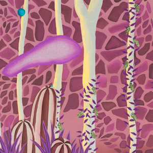 To Watch the Ducks Go