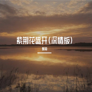 非我不可（新版） 伴奏