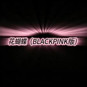 花蝴蝶 (昊听Hawtin Remix)