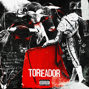 TOREADOR