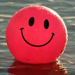 温柔的风（翻自 程佳佳）