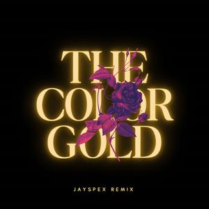 The Color Gold (feat. Gary Haygo) (Radio Edit)