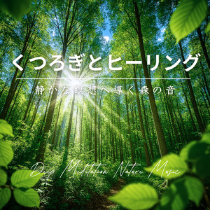 葉音と雨垂れ - 頭を空っぽにする安らぎの自然音