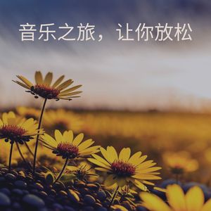 声音中的宁静