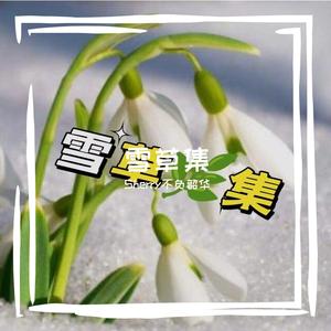 金风玉露雪草版