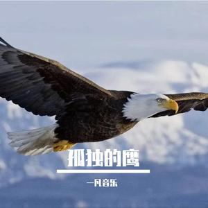 孤独的鹰-终稿