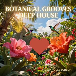 Solar Energy — Melodic Ethno House