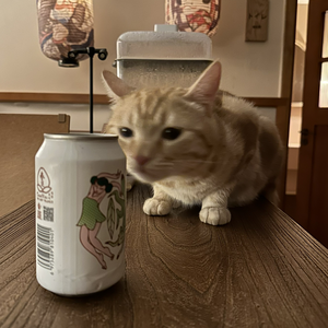 耿