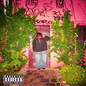 Sua Sorte Você Que Faz