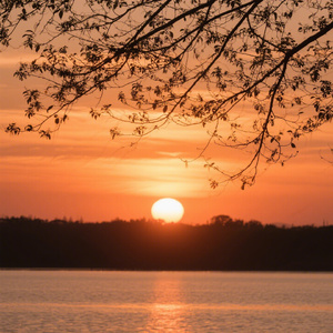 几分糖我都明白