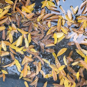 失去后才懂得珍惜