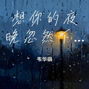 想你的夜晚忽然下起雨