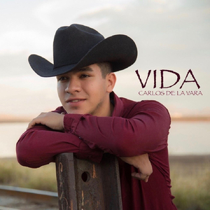 Vida