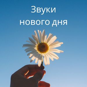 Рассветная ритмика