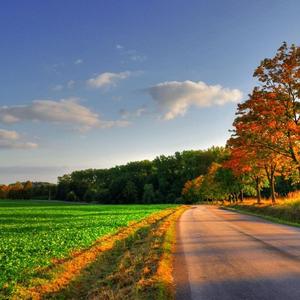 conundrum-小提琴片段