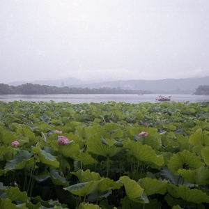 You and I Can't Ever Change