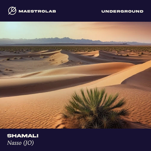 Shamali