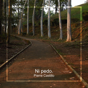 Ni Pedo