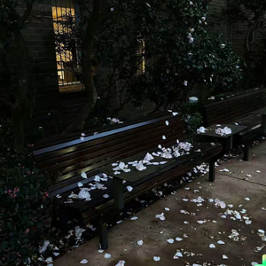 关心是种残忍天赋